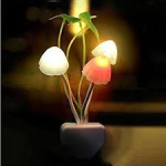Mushroom Dream Light
